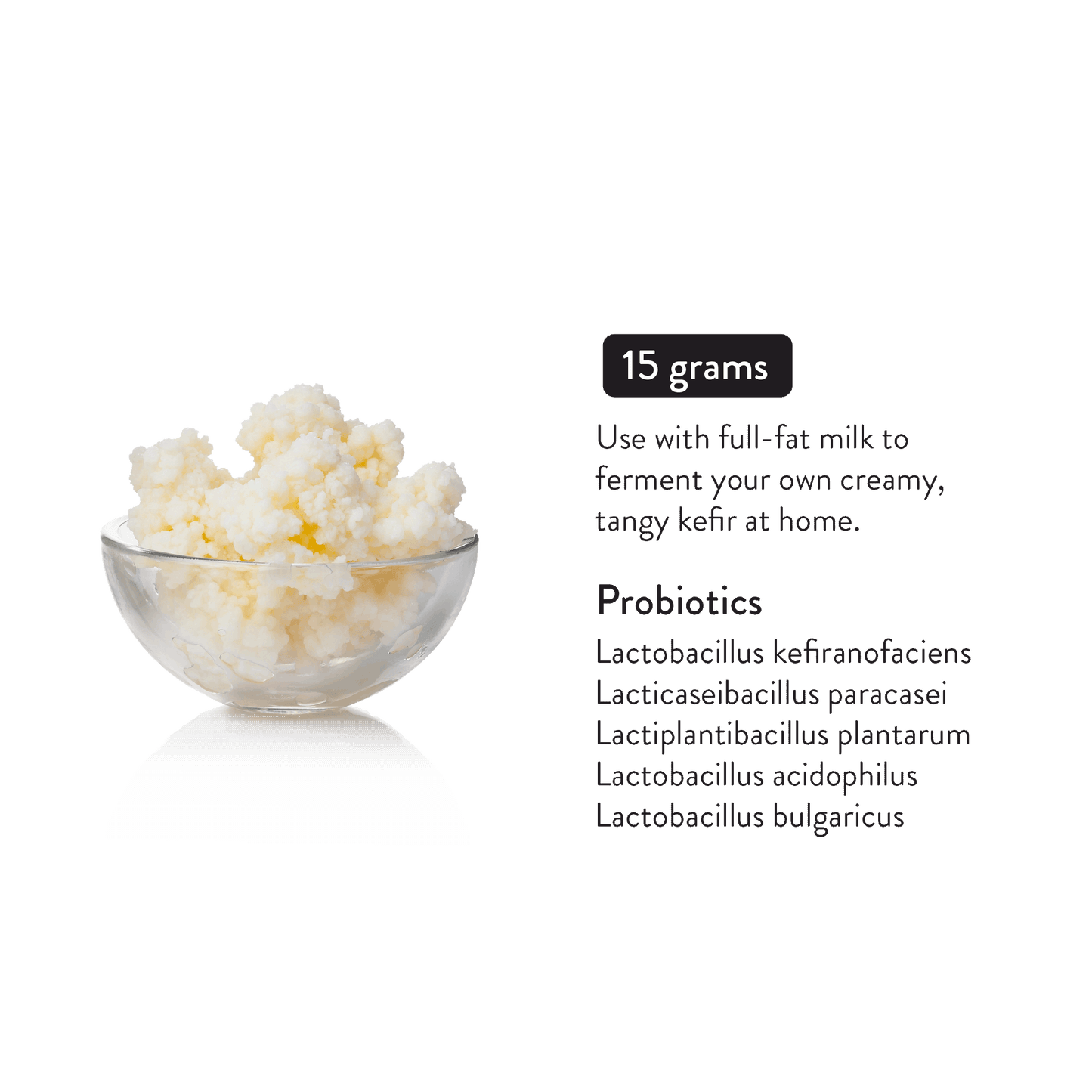 Milk kefir grains