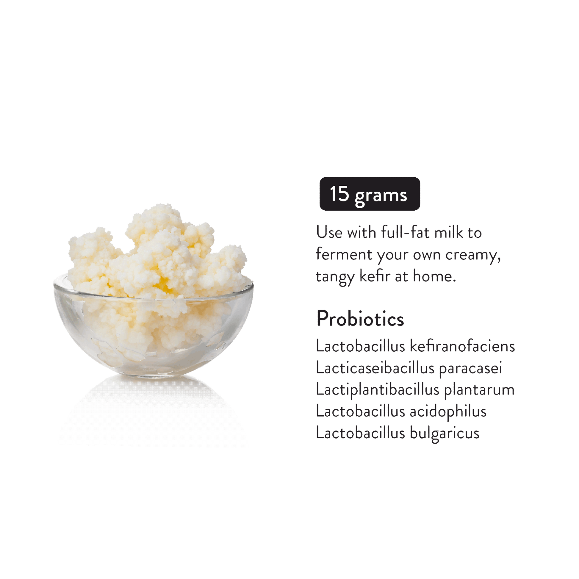 Milk kefir grains
