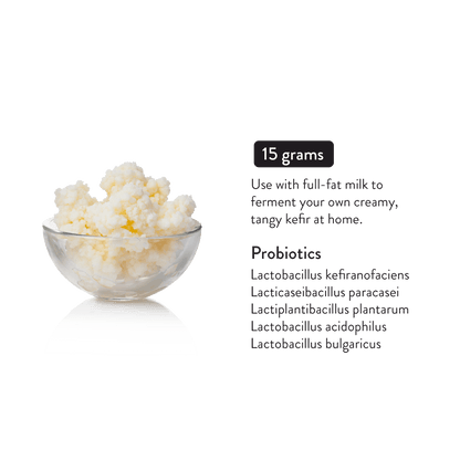 Milk kefir grains